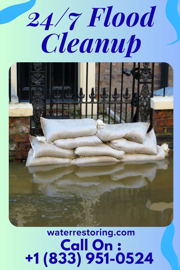 24/7 Flood Cleanup in Orme, TN