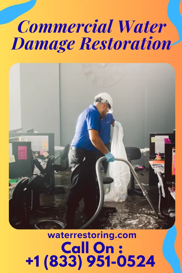 Commercial Water Damage Restoration in Orme, TN