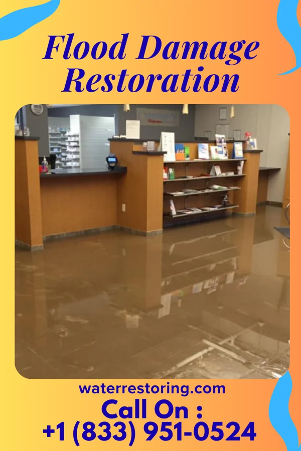 Flood Damage Restoration in Orme, TN