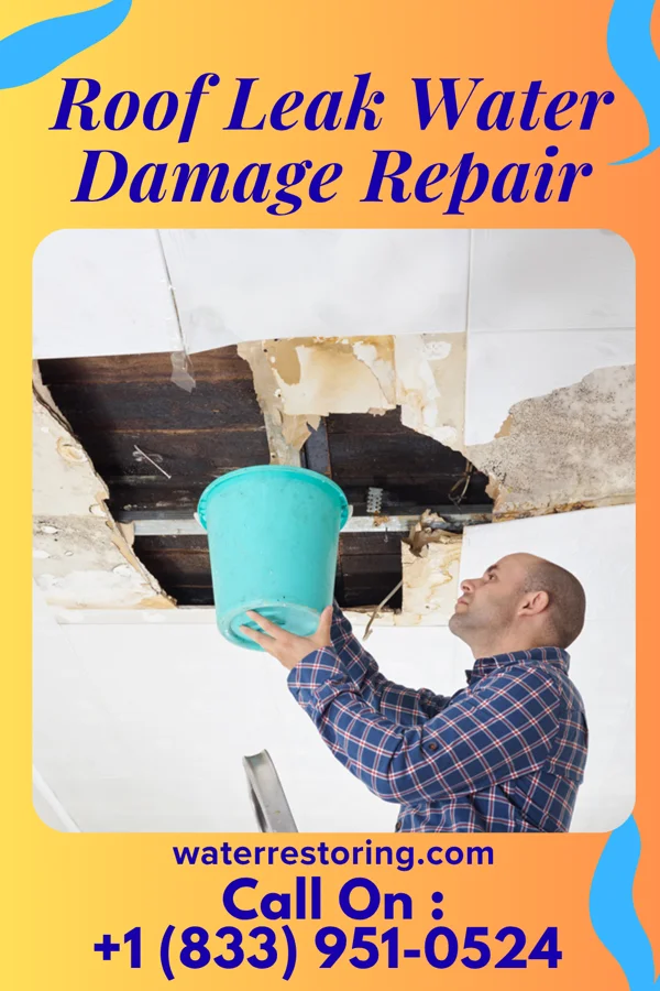 Roof Leak Water Damage Repair in Orme, TN